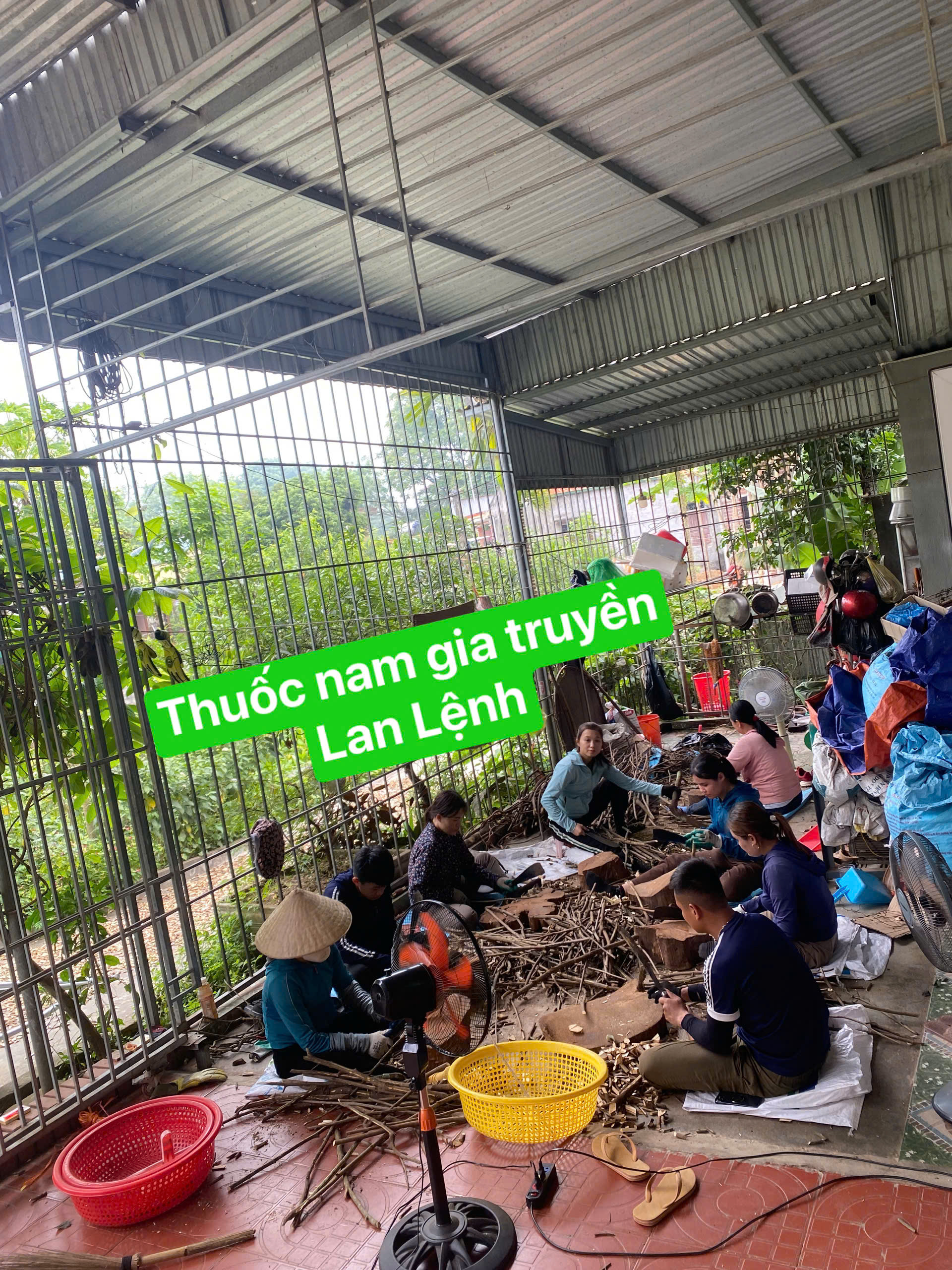 Thuốc nam gia truyền Lan Lệnh 4