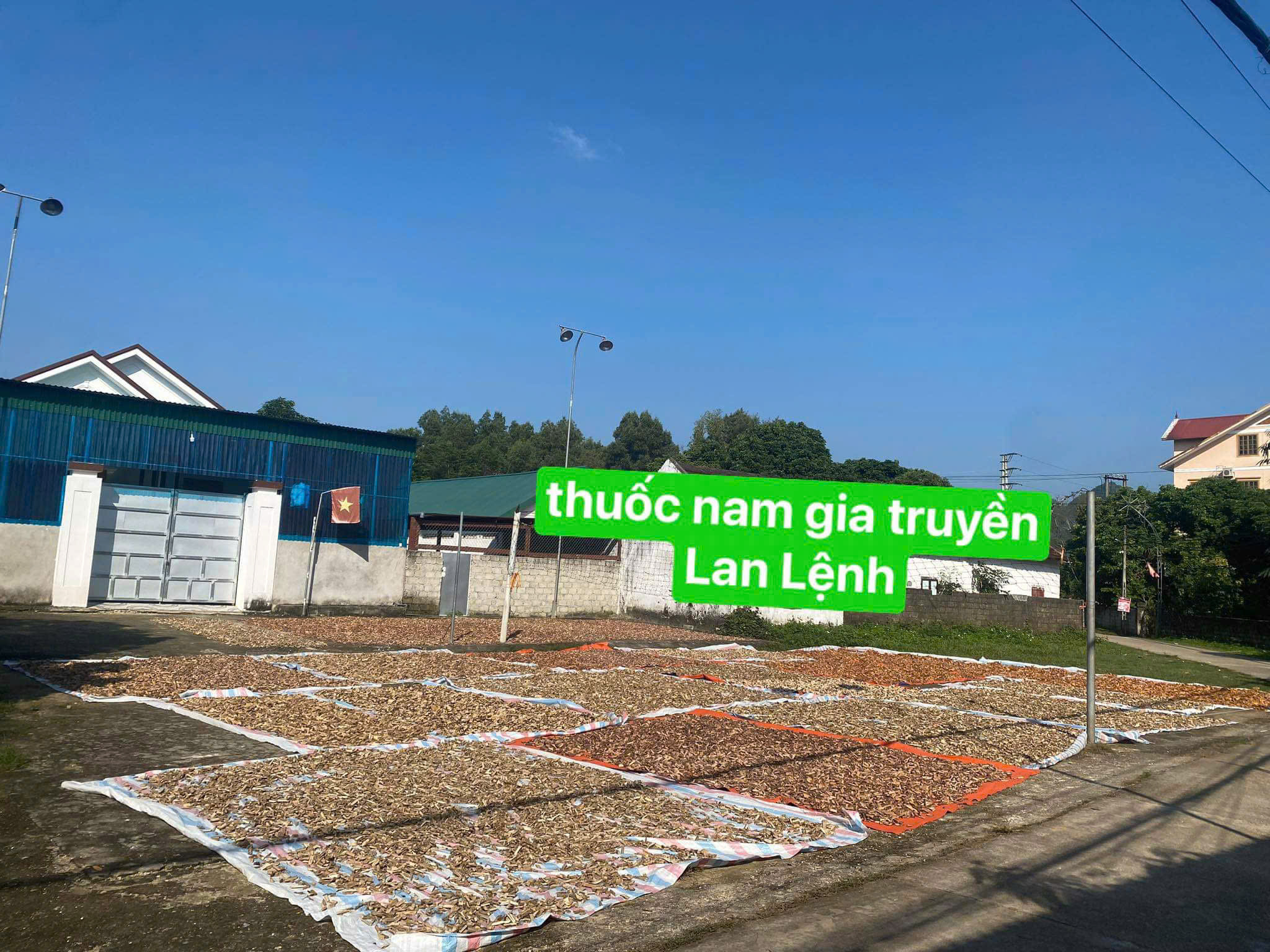 Thuốc nam gia truyền Lan Lệnh